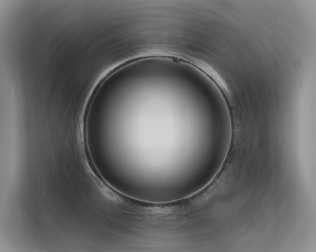 X0000111670996200907171610