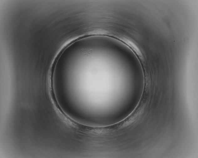 X0000111671000200907171610