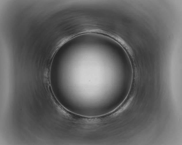 X0000111671001200907171610