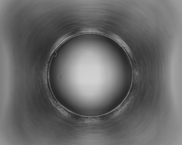 X0000111671002200907171610