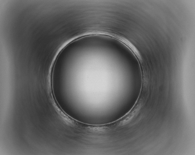 X0000111671004200907171610