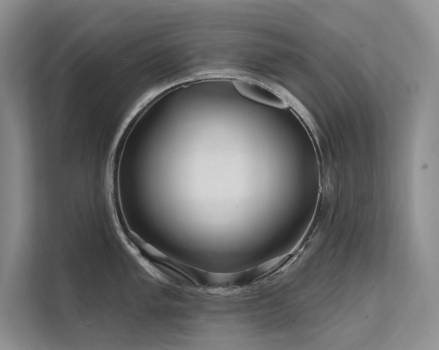 X0000111671005200907171610