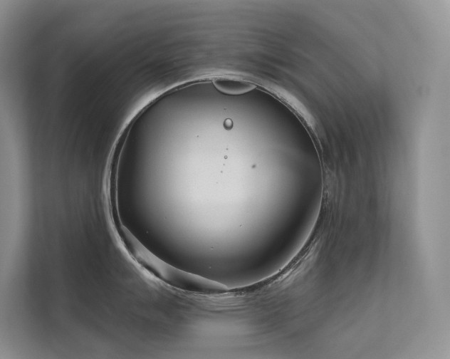 X0000111671007200907171610