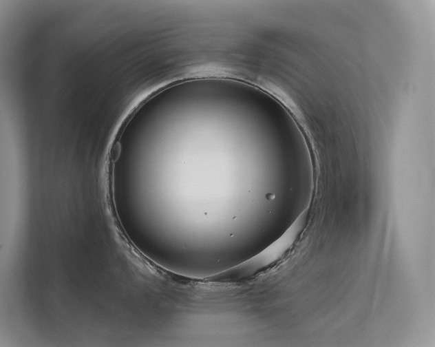 X0000111671008200907171610