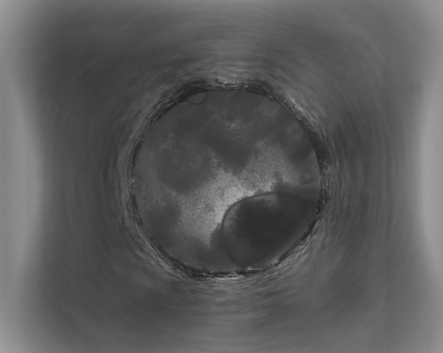 X0000111671009200907171609