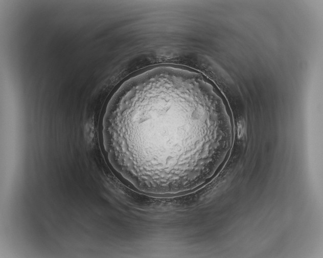 X0000111671011200907171609