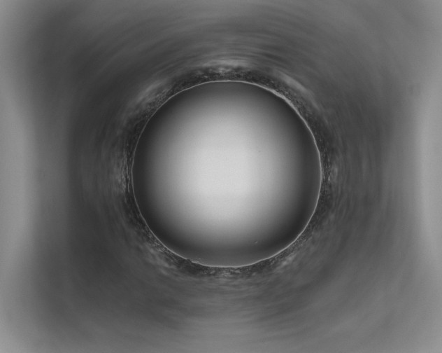 X0000111671014200907171609