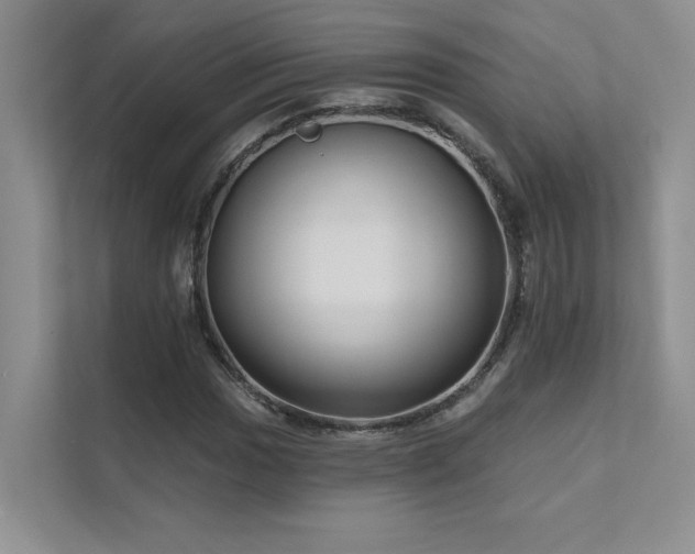 X0000111671017200907171609