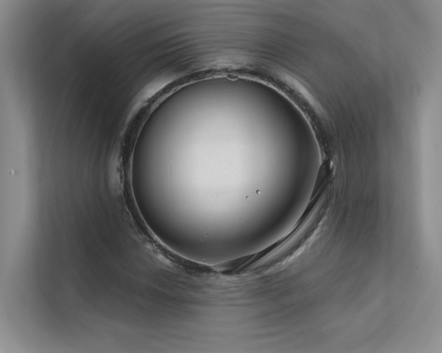 X0000111671018200907171609