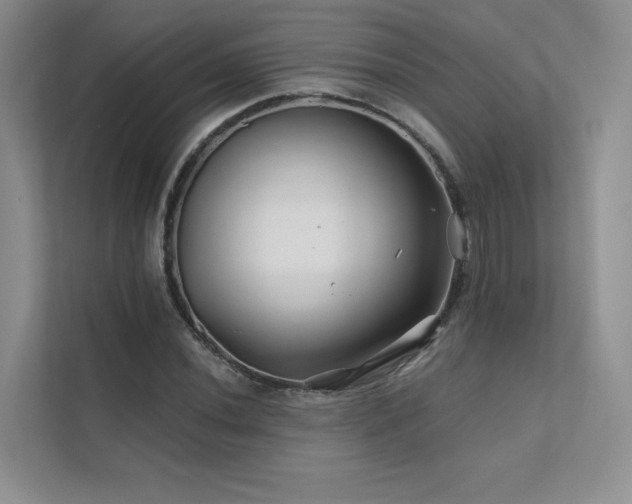 X0000111671020200907171609