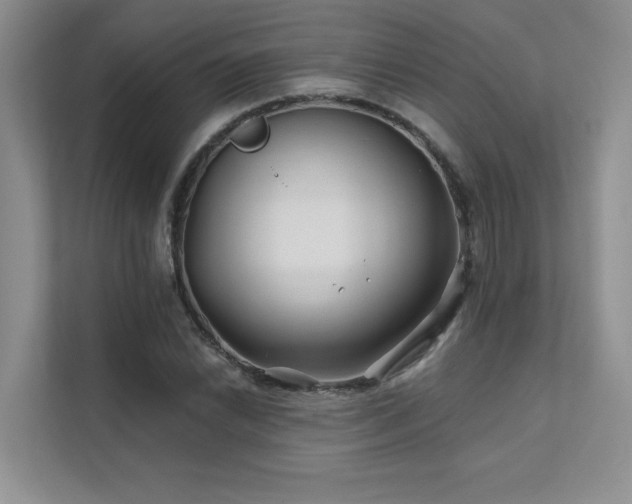 X0000111671022200907171609