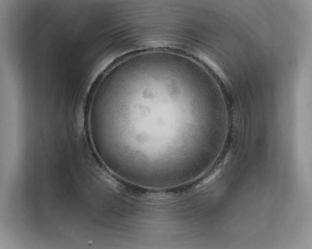 X0000111671023200907171609