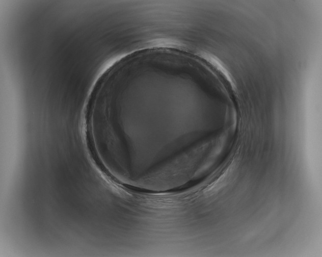 X0000111671024200907171609