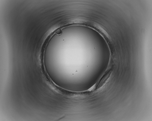 X0000111671026200907171609