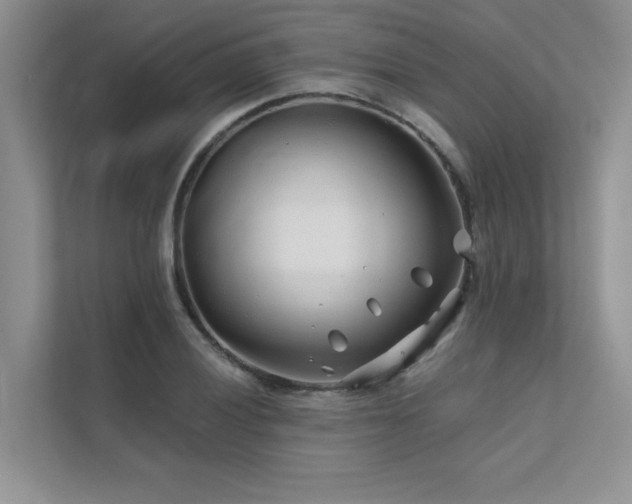 X0000111671028200907171609