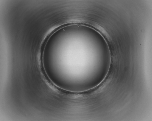 X0000111671030200907171609