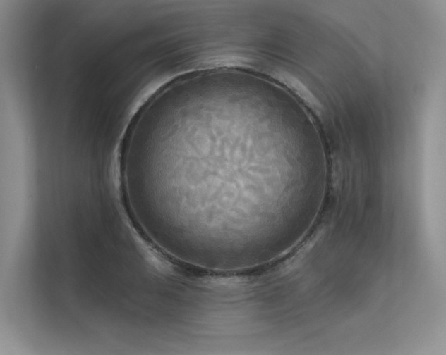 X0000111671031200907171609