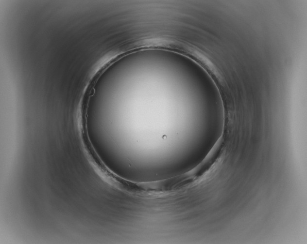 X0000111671034200907171609