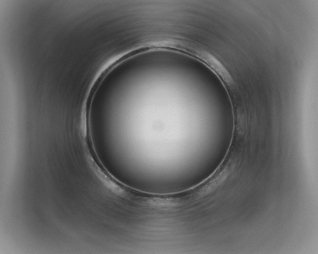 X0000111671036200907171609