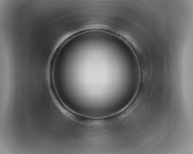 X0000111671038200907171609