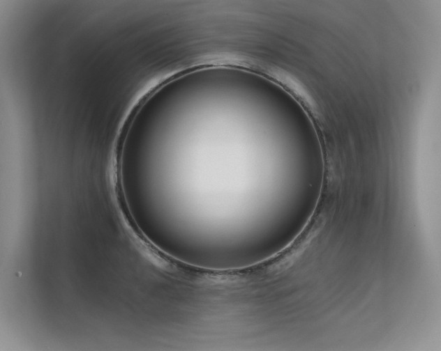 X0000111671040200907171609