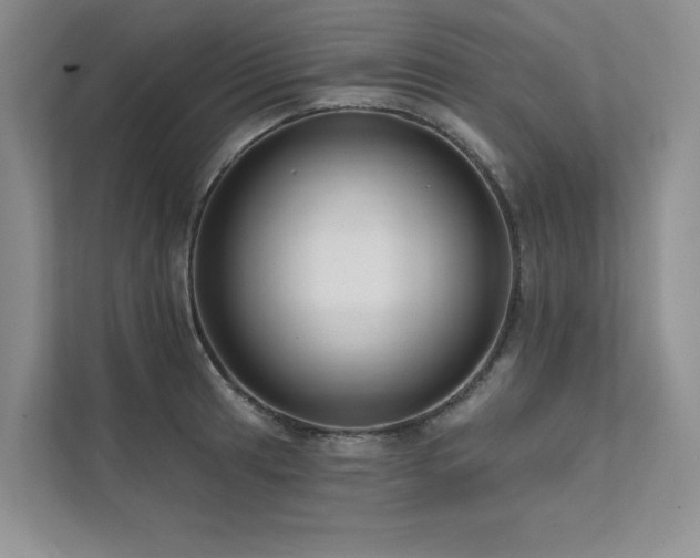 X0000111671041200907171609