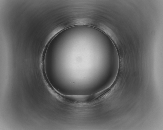 X0000111671042200907171609