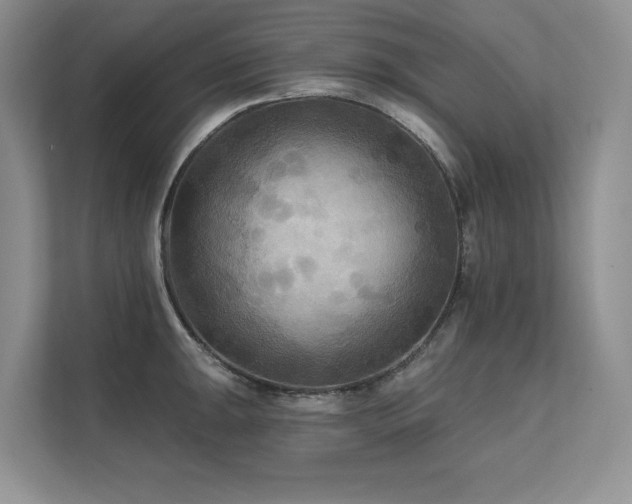 X0000111671047200907171609