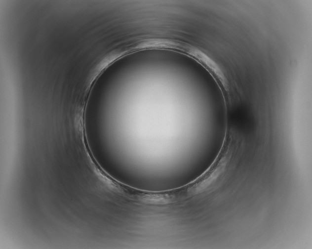 X0000111671049200907171609