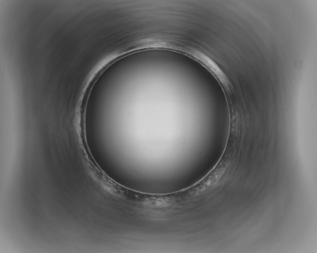 X0000111671051200907171609