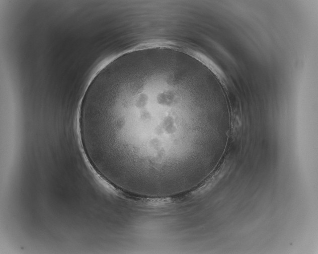 X0000111671055200907171610