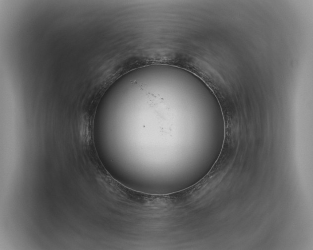 X0000111671058200907171609