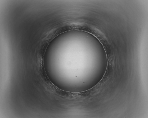 X0000111671061200907171609