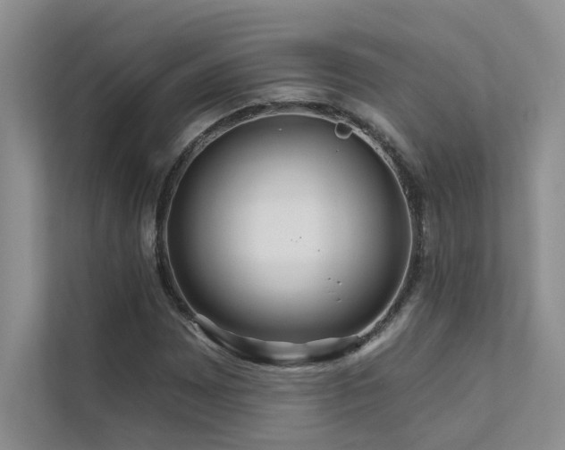 X0000111671065200907171609