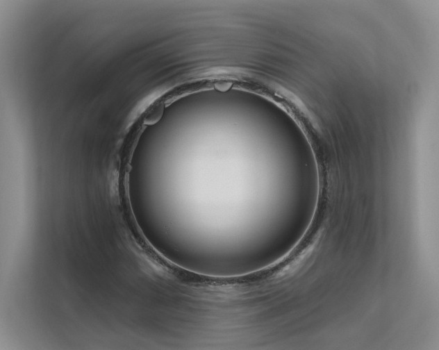 X0000111671066200907171609