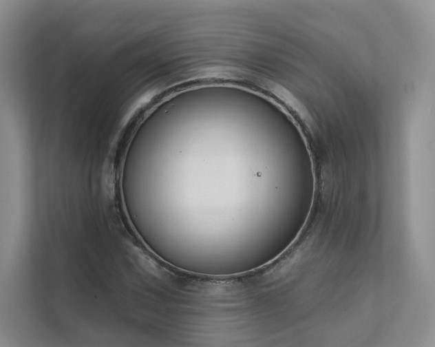 X0000111671067200907171609