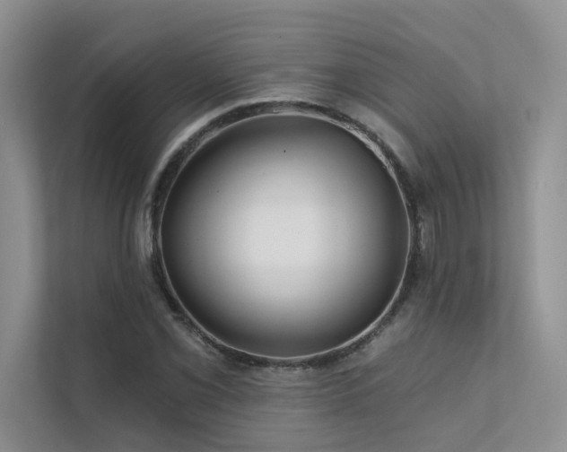 X0000111671069200907171609