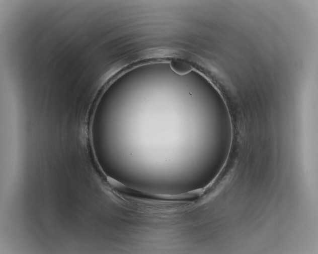 X0000111671073200907171609