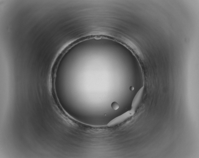 X0000111671076200907171609