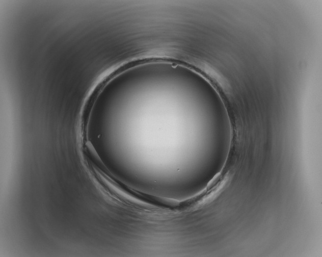 X0000111671077200907171609