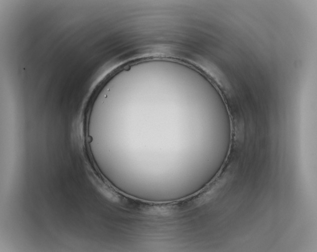 X0000111671078200907171609