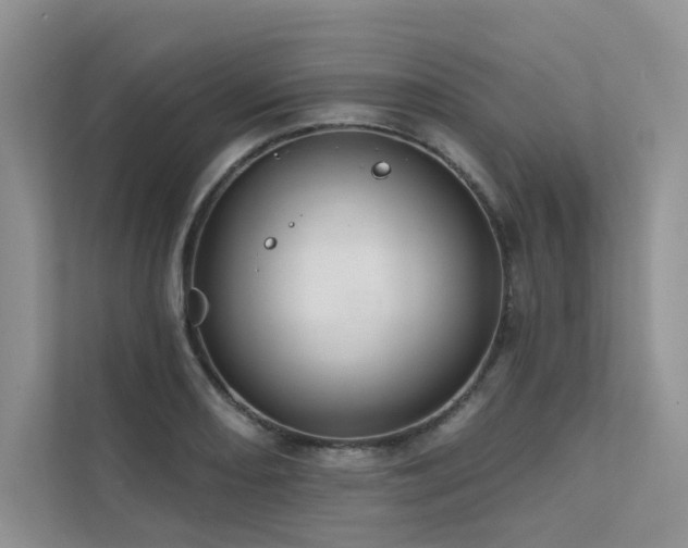 X0000111671082200907171609