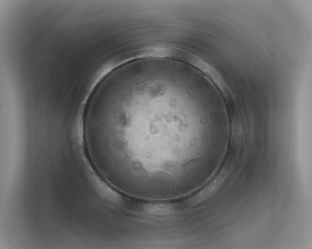 X0000111671083200907171609