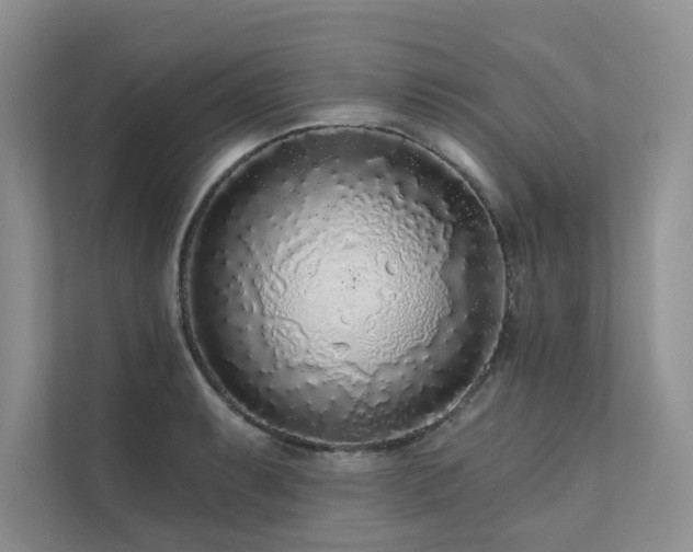 X0000111671087200907171609