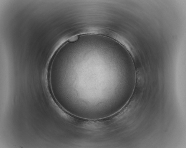 X0000111671091200907171608