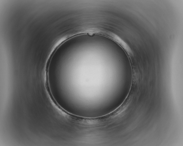 X0000111671095200907171608