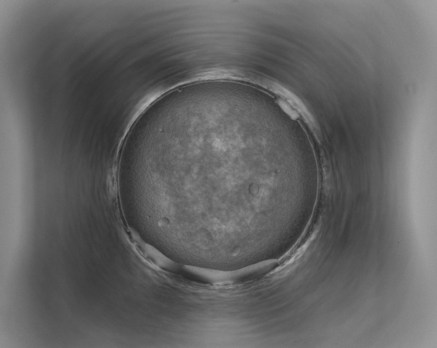 X0000111671097200907171608