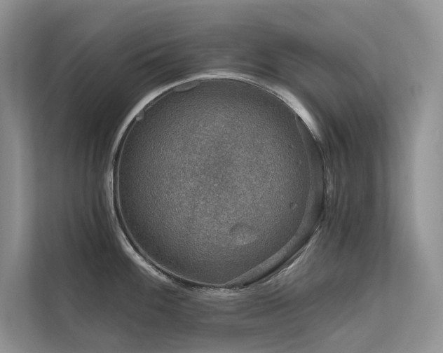 X0000111671100200907171608