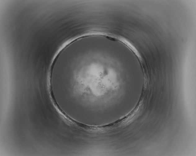 X0000111671101200907171608