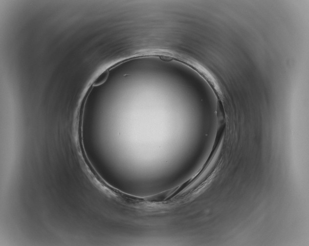 X0000111671102200907171608